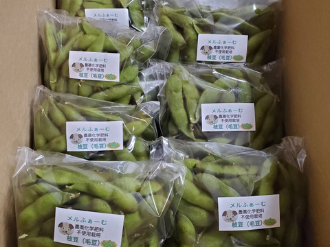 【農薬化学肥料不使用】やめられない止まらない！青森の『毛豆』300g×8p令和7年産