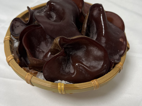 福岡県糸島産生きくらげ約500g×2個