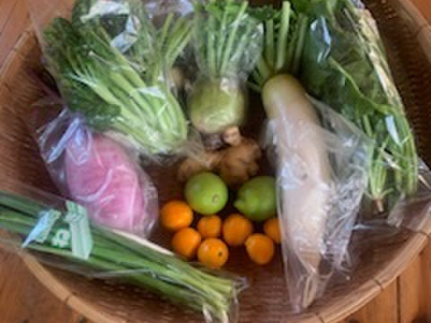熊本県八代産11月に採れた農薬不使用野菜詰め合わせ　野菜セット　4kgほどです