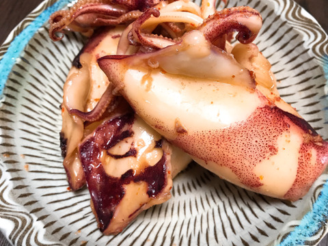 今年もやってきました！漁師直送のケンサキイカはイカがですか？1kg