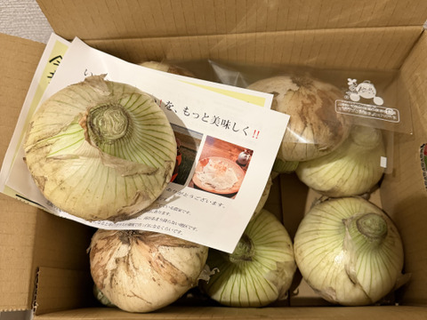 【大玉】淡路島　新玉ねぎ！みずみずしく、柔らか～い！5ｋｇ【ひょうご安心ブランド認証】特別栽培