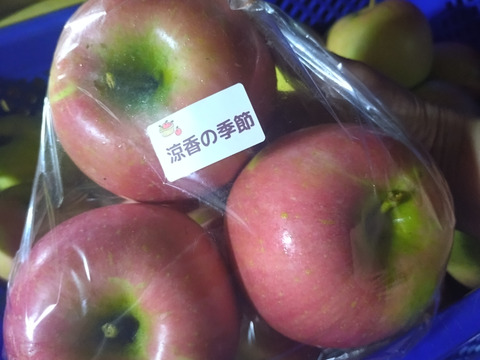 家庭用🍎旬のおまかせ葉とらずりんご🍎品種9個〜11個詰め3㌔箱