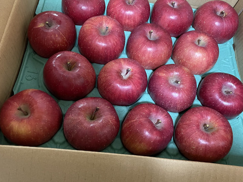 長野県認証栽培のサンふじ5ｋｇ