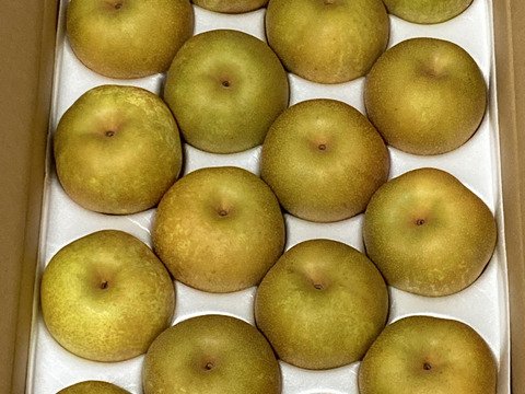 【ちょっとだけ訳ありですが良品です‼️】幸水梨5kg(12-16個入)甘くてとってもジューシー‼️少しの汚れや変形で、贈答用に入れなかった梨たちの詰め合わせ、味は贈答用とほとんど変わりません‼️