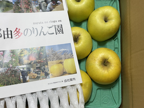 デカくて甘いりんご　もりのかがやき3kg(7~8玉）