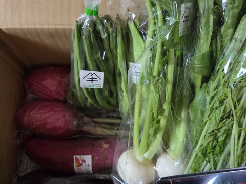 田口農園徳島「イチオシ旬野菜セット」
【たっぷりいろいろ　２０００円セット】農家人が選ぶ旬野菜のおまかせセットです。季節ごとの旬の世界農業遺産ブランド野菜を厳選してお届け致します。