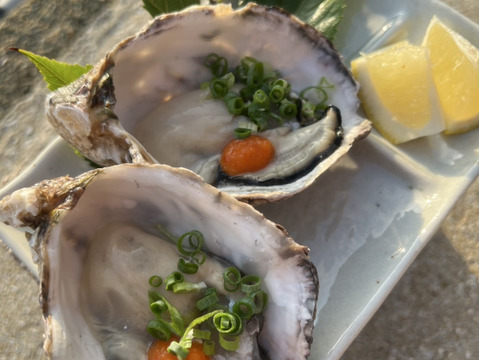 三倍体牡蠣 特大サイズ 約100g～120g×10個 糸島 深江産 牡蠣