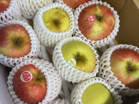 農薬半減・化学肥料不使用の特別栽培りんご3種食べ比べ🍎🍏 訳ありご家庭用 おまかせ3kg 青森県特別栽培認証取得 詰め合わせ　りんご食べ比べ