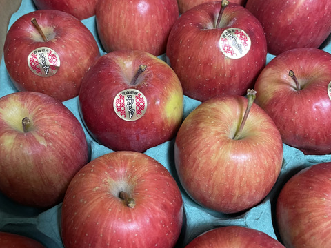 幻の小玉りんご【スリムレッド】丸かじりが抜群！2.5kg前後