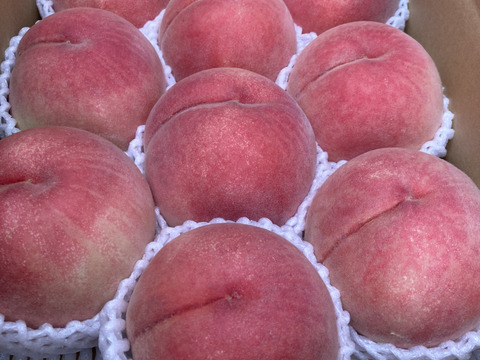 感動の甘さ！桃源郷福島の『大きめあかつき』（３kg箱9〜12個）【本州の方限定】