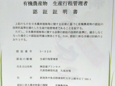 「お餅の王様」とも呼ばれているこがねもちを使用した杵つき餅。有機玄米餅４パックセット（転換期間中）