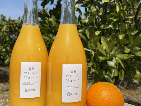 【夏ギフト】【濃厚・フレッシュ】清見オレンジ１００％無添加ジュース720ml × 2本セット