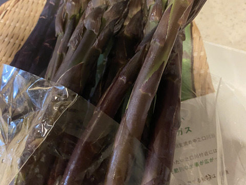 紫アスパラガス A等級 500g