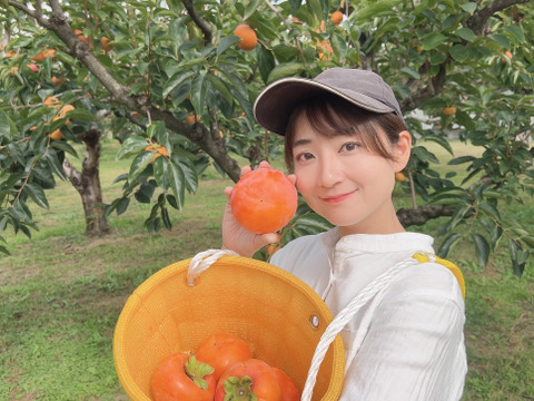 【濃厚な甘み！】富有柿！（種なし・ご家庭用・7.5Kg）