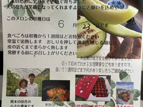 【今週限定】ラブコールメロンは1年で1週ほど！1粒のタネから1玉だけ大切に育てました！ちぎりたてでも甘さに驚くラブコールメロン2玉入り(4.2kg～6kg)