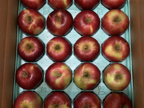 10月中旬発送🍎紅玉🍎5kg すっぱいりんご❗低農薬で皮ごと安心✨キズなし良品🎁 予約 旬 人気 お菓子作りにも最適🍴特別栽培認証