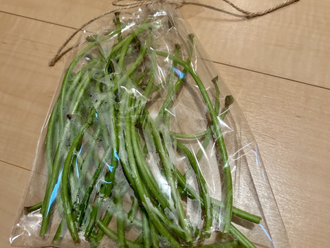 さつまいもツル20本以上 ☆自然栽培☆さつまいもの蔓（長さ15cm〜20cmほど、20本以上）/さつまいものつる/芋づる/※葉を取ってお届け🏣ゆうパック