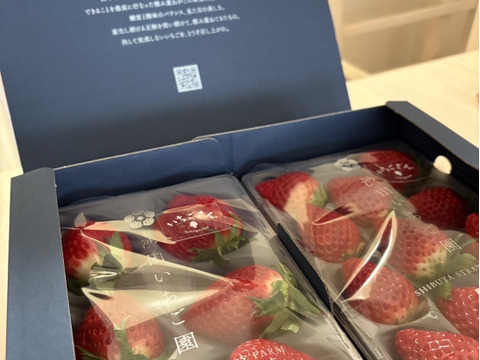 【🥈いちごグランプリ2025銀賞受賞】最高鮮度でお届け！ 優しい甘味とジューシーな果汁！ いちごさん　【2パック/440g】ギフト/贈答/家庭用