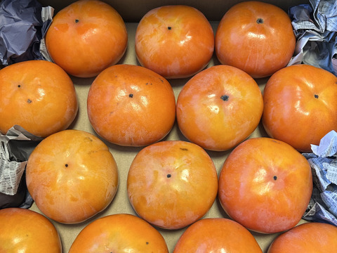 和歌山県産富有柿（家庭用）L.2Lサイズ14個〜16個　※贈答用には向きません