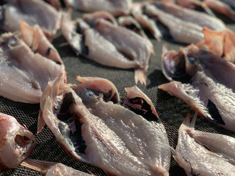 高級魚★ノドグロの干物