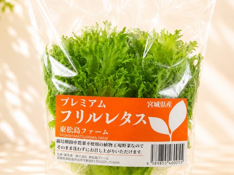 父の日ギフト】【中容量】贈答用にも！洗わずに食べられるレタス食べ