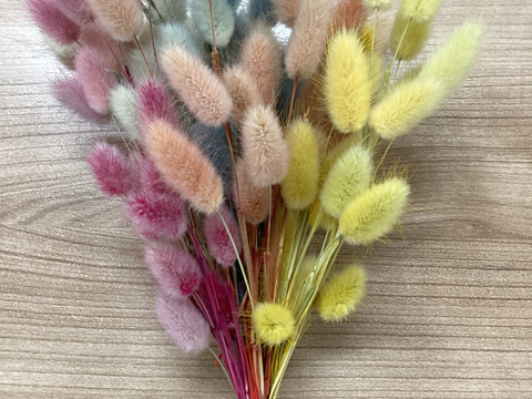 ‘‘ノウフク”カラフルラグラス100本束