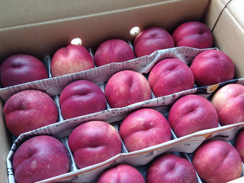 終盤❗️ネクもも🍑ハネージュ🍑3キロ箱　規格外　訳あり