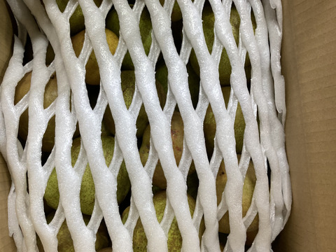 10月10日頃から発送開始！超スーパー訳あり規格外ラフランス10kバラ詰箱込11キロ