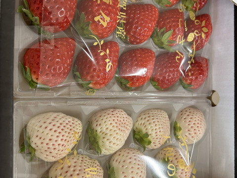 いちごさん、天使のいちご