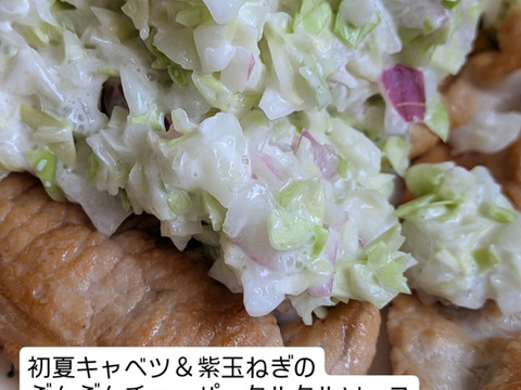 たっぷり小さい初夏キャベツ8個