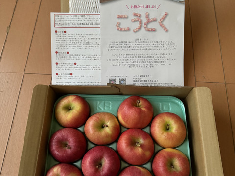 特別栽培りんご】蜜入り🍎こうとく2kg 葉とらずりんご 農薬50%減＋化学