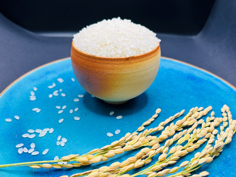 令和６年産　新米４種の食べ比べセット！
ゆうだい２１、元気つくし、にじのきらめき、にこまる　白米各２ｋｇずつ　計４袋で ８ｋｇ【福岡の農家直送】