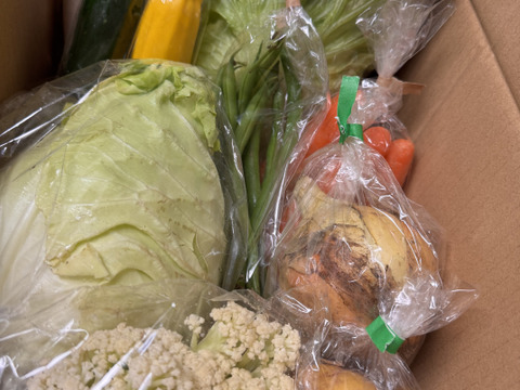 Mサイズ ＊旬野菜セット(約8~9品)【農薬：栽培期間中不使用】