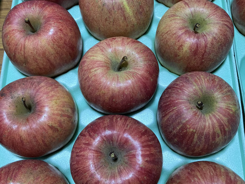 2箱3キロ9-13玉入×2箱　樹上完熟葉取らずサンふじ　農薬半減栽培で安心安全！