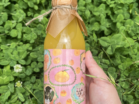 【ギフト対応できます】農薬使用せず育てた甘夏ストレートジュース500g2本