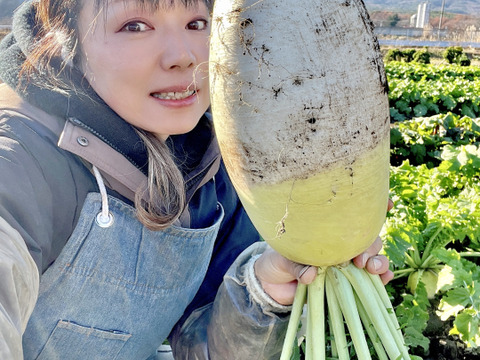 100[信州産]特大！トロトロ大根｢あじまるみ｣