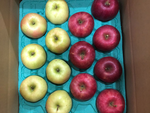 【冬ギフト】青森県産 約５キロ×２箱 季節の樹上完熟りんご詰め合わせセット【上実贈答用】