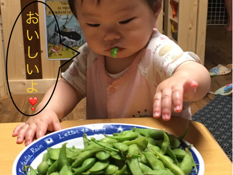 枝豆王国新潟から 1 5kg まめ 枝豆 うんめよ 新潟県産の豆類 食べチョク 産地直送 産直 お取り寄せ通販 農家 漁師から旬の食材を直送