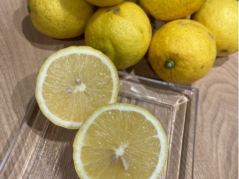 【和歌山有田育ち】丸ごと使える自然派レモン5kg