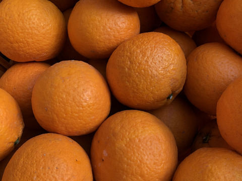 【初夏の香り楽しみませんか？】大崎上島産「甘夏」　5kg （12～15個前後）爽やかな酸味とほろ苦さ、甘い香りに思わずにっこり！