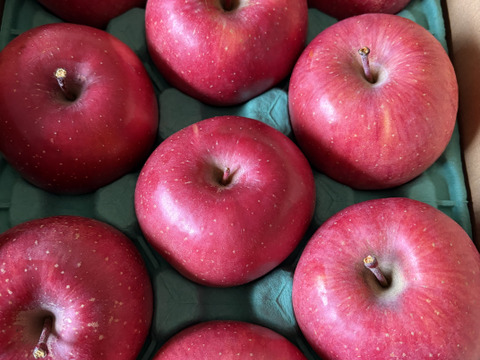 ⚠︎1月7日から発送🍎りんごGP2025最高金賞1位🎊【究極のサンふじ】コスモふじ 3キロ箱 商品ID52651 長野県 安曇野 リンゴ 幻 幻のリンゴ  希少 甘い ふじ サンふじ 6玉〜15玉