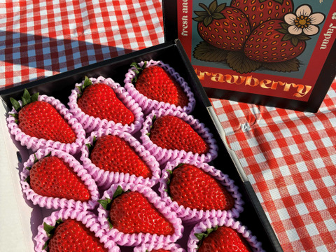 山梨の寒暖差で甘さ濃厚！化粧箱入り12粒入