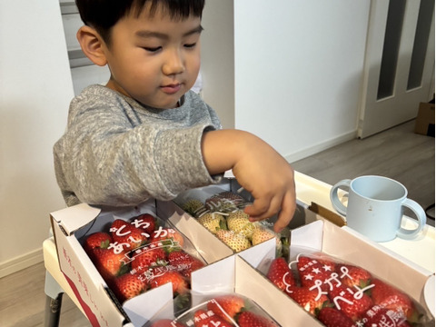 【春イチゴ】【お得価格】摘みたて直送！ミルキーベリー入り！とちぎのいちご4種詰め合わせセット（4パック）（260ｇ×4パック）【いちご食べ比べ】