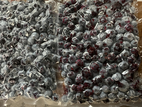 訳あり大特価！知多半島産【小粒冷凍ブルーベリー1㎏】