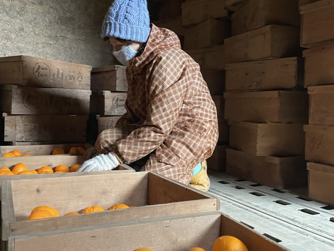 【世界農業遺産認定】蔵で熟成させた、本物の甘さを家族に