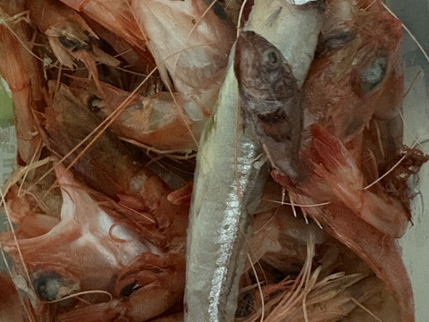 【魚ガチャ】初心者必見！何が入っているかわからない［未利用魚］おかず