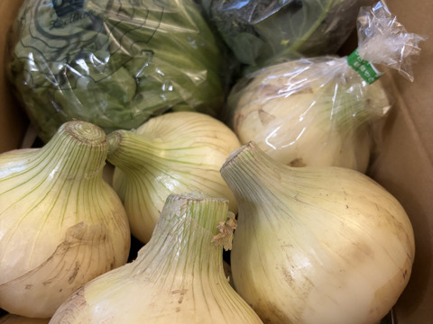 大好評，地層が違う淡路島、新玉ねぎスーパーアップ２キロ(風袋込み)