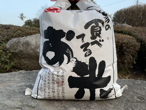 【リオレのレシピ付き】特別栽培米🌾栃木県産令和3年度コシヒカリ🐃（10キロ）