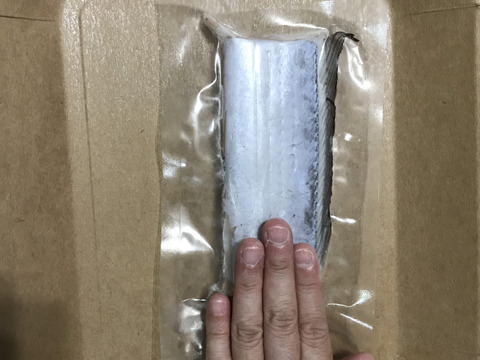 釣りたてピカピカ✨太刀魚　冷凍真空パック　8枚セット
