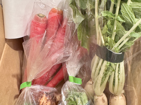 有機JASのお雑煮5種セット❗️【雑煮大根・金時人参・小えび芋・辛味大根・花柚子】お正月をオーガニック野菜で始めよう‼️［発送日12/26、27 限定：到着は遠方以外は翌日］